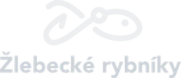 zlebeckerybniky.cz