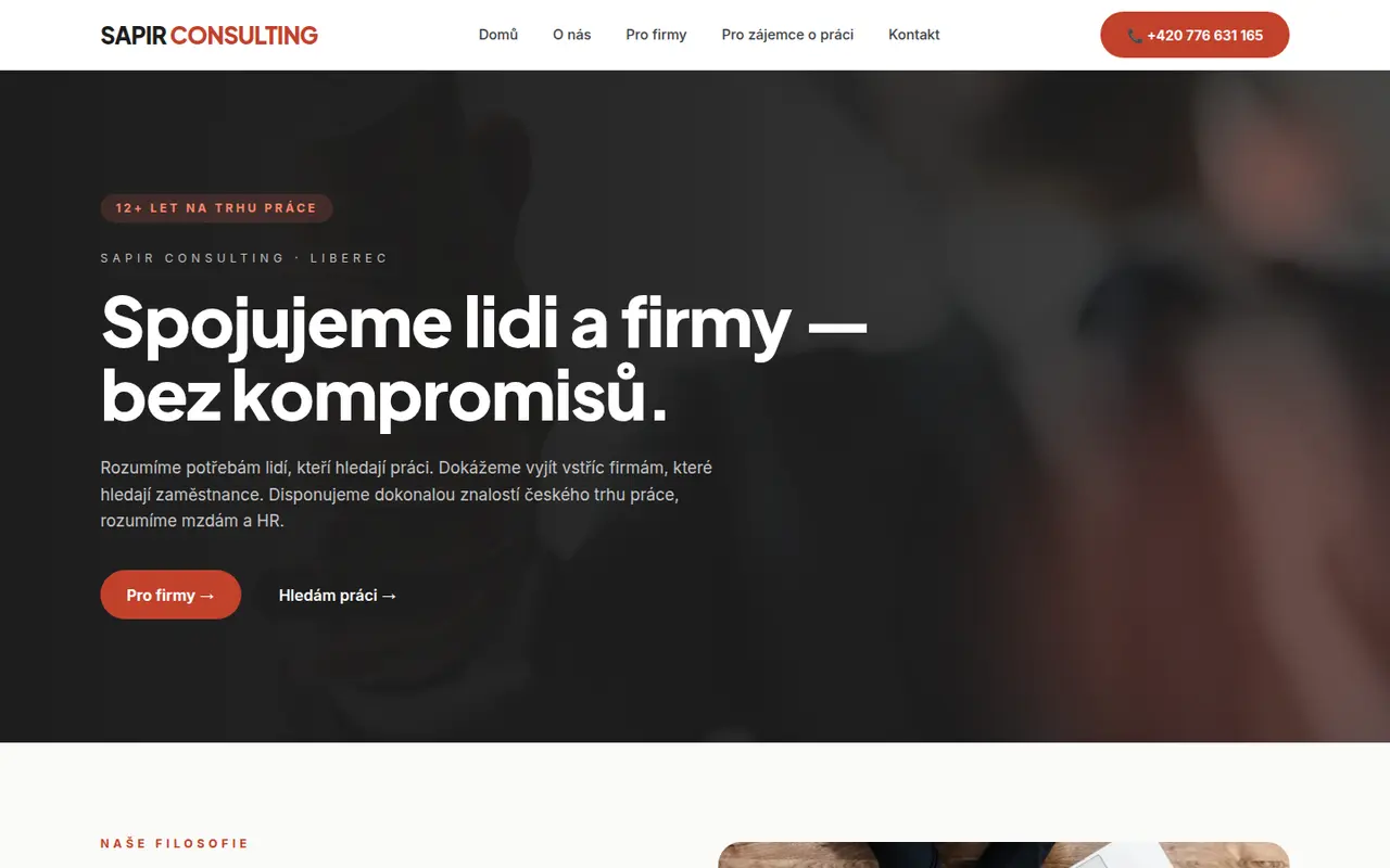 Sapir Consulting